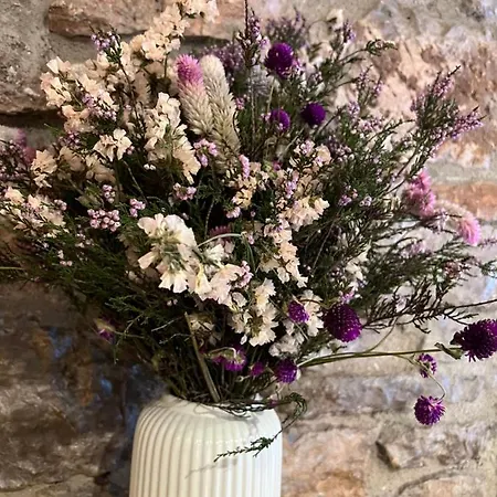 Fonda Peremiquel * Castellar De N'Hug