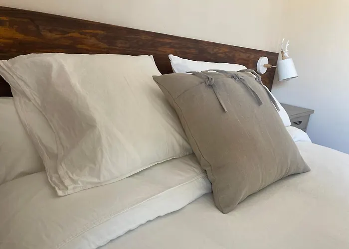 Hotel Fonda Peremiquel Castellar De N'Hug